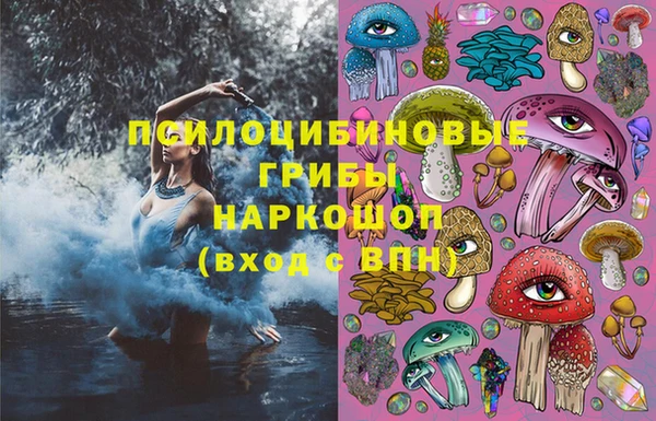 apvp Бородино