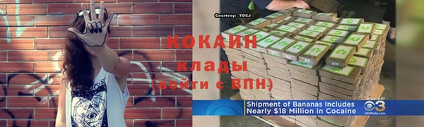 тгк Богданович