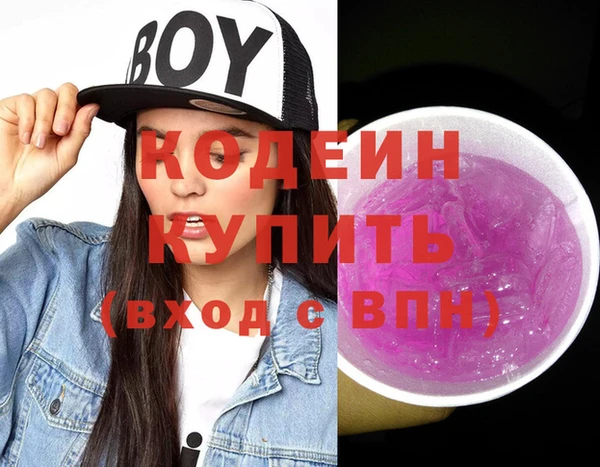 apvp Бородино