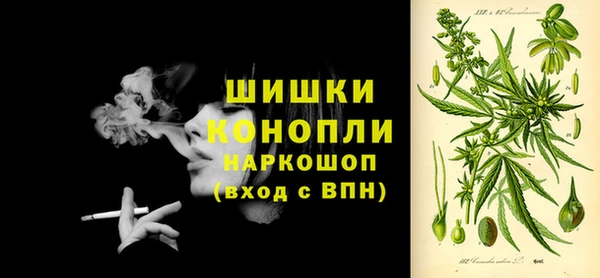 apvp Бородино