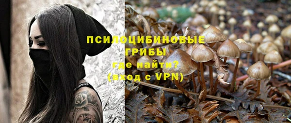 бошки Бугульма