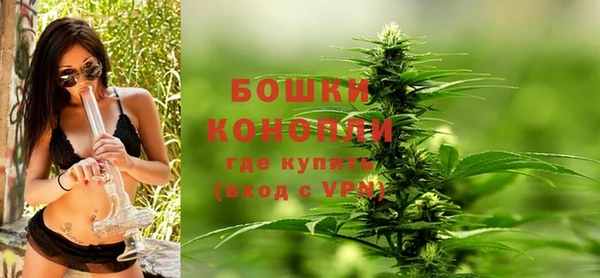 apvp Бородино