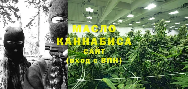 apvp Бородино