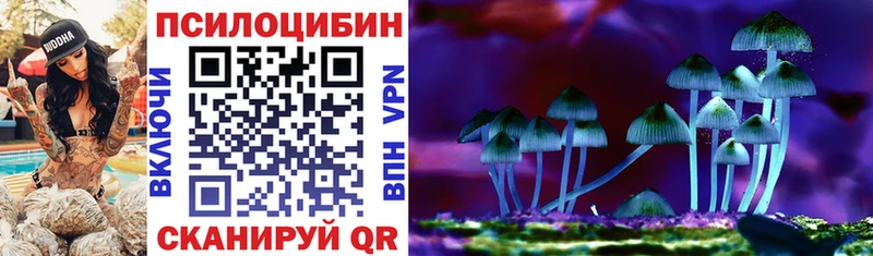 Галлюциногенные грибы Psilocybine cubensis  Купить  Кириши 